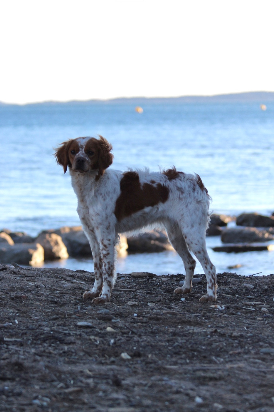 Akira From The Mist Of The Hills