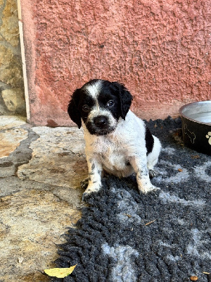 male 3